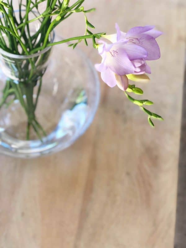 Freesia-lilla