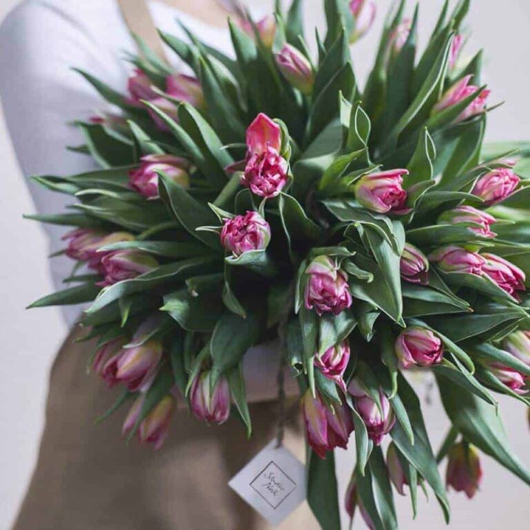 sending flowers