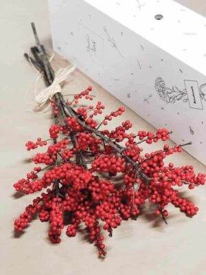 Ilex jõulumarjad