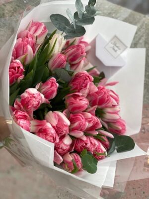 Tulips