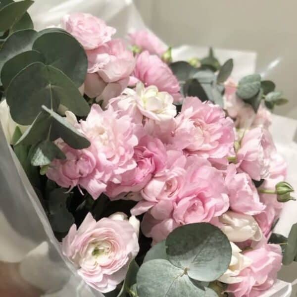 Ranulculus