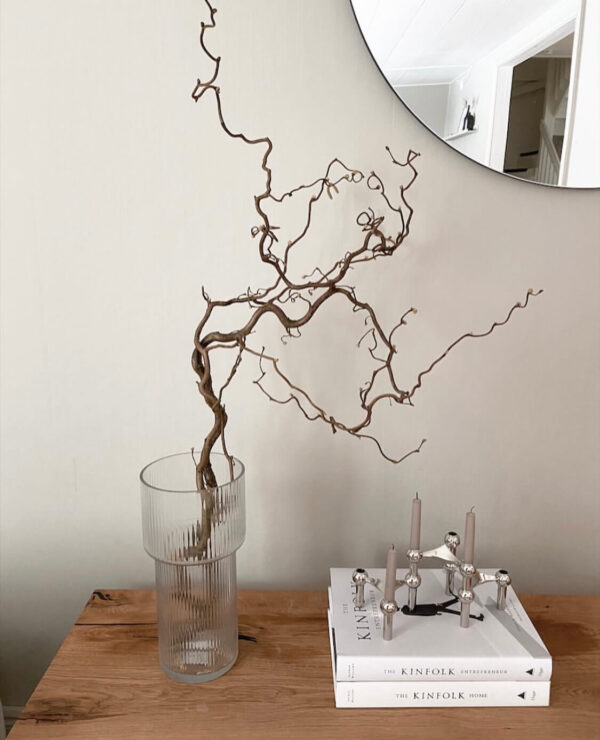 Corylus