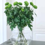 Milliseid lilli kinkida mehele? 2 Krüsanteem